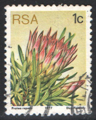 South Africa Scott 475 Used - Click Image to Close